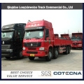 Camion de camion de HOWO 8X4 30ton (ZZ1317M4617)